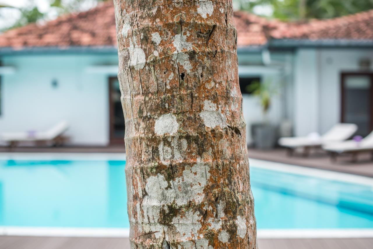 Cattleya Villa Hikkaduwa Kültér fotó
