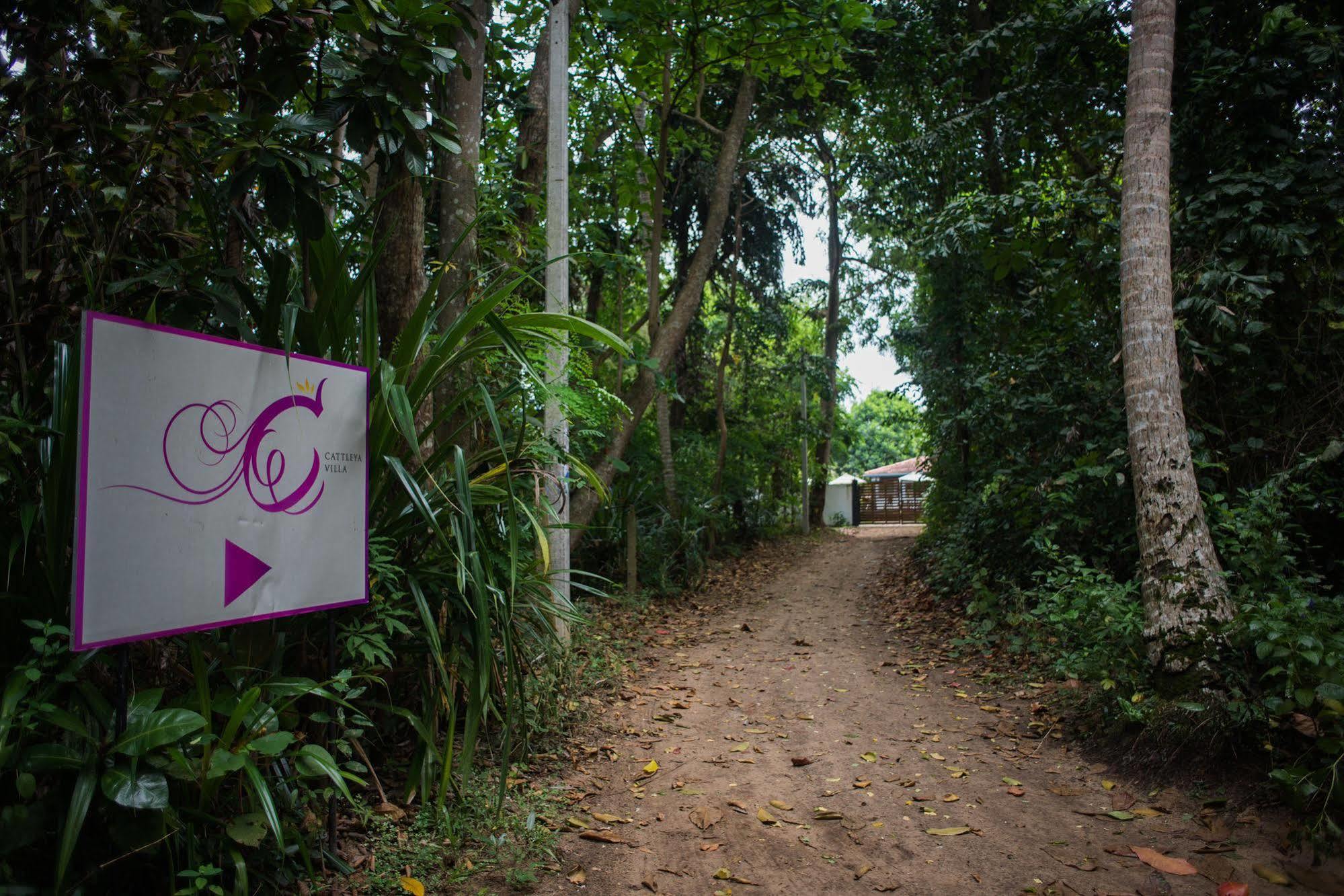 Cattleya Villa Hikkaduwa Kültér fotó